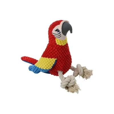 Jeu peluche Mateo le perroquet corde pour chien