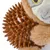 Jeu peluche balle sonore Paresseux pour chien Jeu peluche balle sonore Paresseux pour chien