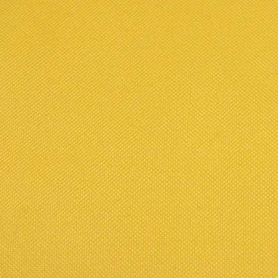 Coussin matelas Os pour Chien jaune Coussin matelas Os pour Chien jaune