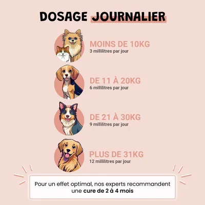 Huile de Saumon - Articulations, Beauté du poil, Oméga 3 - Chien et Chat