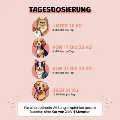 Museau & Co | Lachsöl | Fell & Gelenke | Hund & Katze Museau & Co | Lachsöl | Fell & Gelenke | Hund & Katze