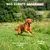 Museau & Co | Lachsöl | Fell & Gelenke | Hund & Katze Museau & Co | Lachsöl | Fell & Gelenke | Hund & Katze