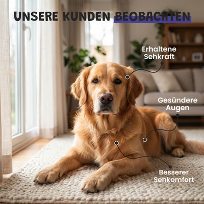 Museau & Co | Vision | Augengesundheit | Hund & Katze