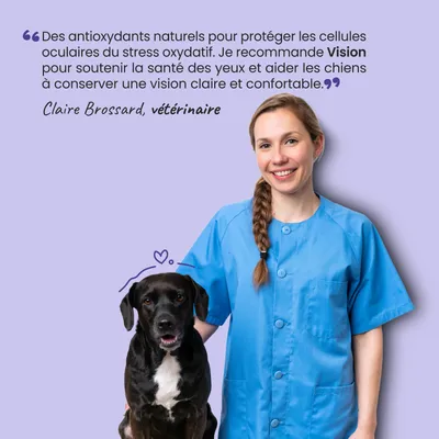 Vision - Clarté Visuelle, Microcirculation, Antioxydant - Chien et Chat