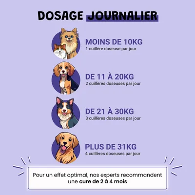 Vision - Clarté Visuelle, Microcirculation, Antioxydant - Chien et Chat