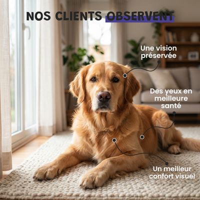 Vision - Clarté Visuelle, Microcirculation, Antioxydant - Chien et Chat