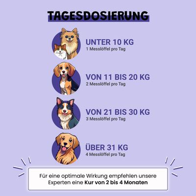 Museau & Co | Vision | Augengesundheit | Hund & Katze