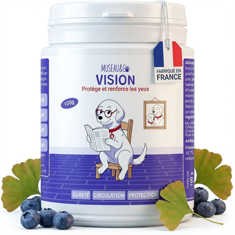 Museau & Co | Vision | Augengesundheit | Hund & Katze