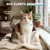 Museau & Co | Flohsamenschalen | Verdauung & Darmtransit | Hund & Katze Museau & Co | Flohsamenschalen | Verdauung & Darmtransit | Hund & Katze