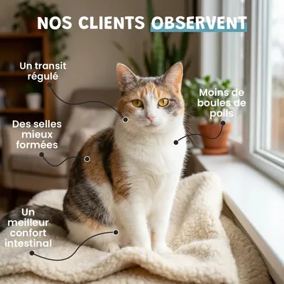 Museau & Co | Psyllium Blond | Digestion & Transit | Chien & Chat Museau & Co | Psyllium Blond | Digestion & Transit | Chien & Chat