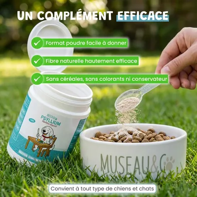 Museau & Co | Psyllium Blond | Digestion & Transit | Chien & Chat Museau & Co | Psyllium Blond | Digestion & Transit | Chien & Chat