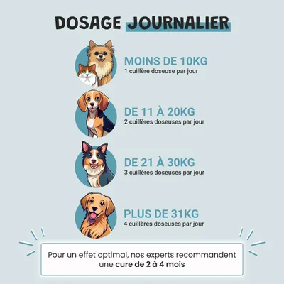 Museau & Co | Flohsamenschalen | Verdauung & Darmtransit | Hund & Katze Museau & Co | Flohsamenschalen | Verdauung & Darmtransit | Hund & Katze