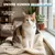 Museau & Co | Flohsamenschalen | Verdauung & Darmtransit | Hund & Katze Museau & Co | Flohsamenschalen | Verdauung & Darmtransit | Hund & Katze