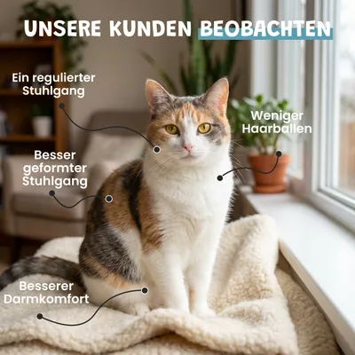 Museau & Co | Flohsamenschalen | Verdauung & Darmtransit | Hund & Katze Museau & Co | Flohsamenschalen | Verdauung & Darmtransit | Hund & Katze