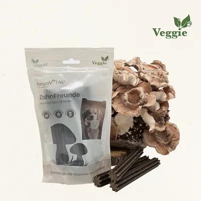 fungoVITAL Amis des dents 180 g