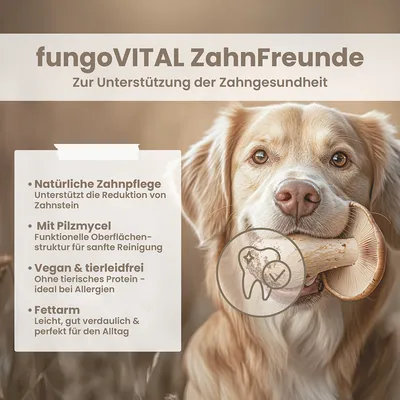 fungoVITAL Amis des dents 180 g