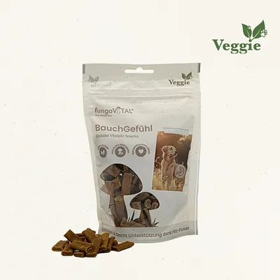 fungoVITAL BauchGefühl 100 g