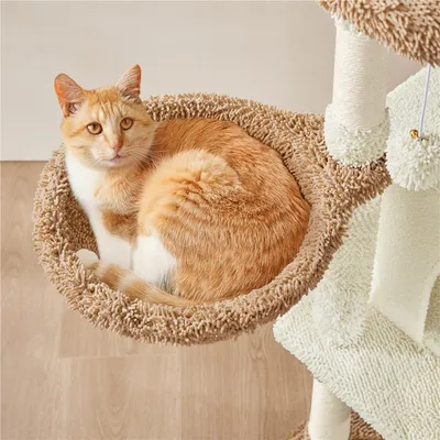 Yaheetech Arbre à Chat Aspect Cactus