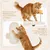 Katzen Kletterwand, 4er Set, inkl. Katzenhöhle Katzenliege Plattformen