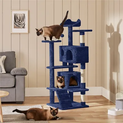 Yaheetech Arbre à Chat