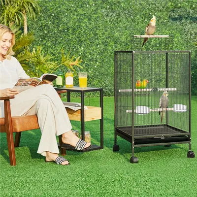 Cage à Oiseaux Sur Pied Cage à Oiseaux En Métal à Roulettes
