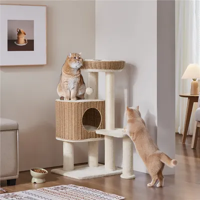 Yaheetech Arbre à Chat Design Yaheetech Arbre à Chat Design