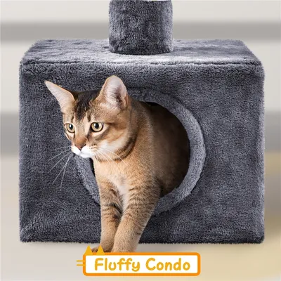 Yaheetech Arbre à Chat Plafond