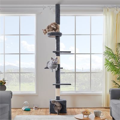 Arbre à Chat Plafond Réglable En Hauteur Avec Cachette Griffoirs