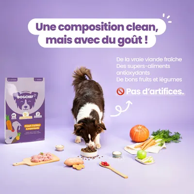 Dog Chef Croquettes Hypoallergéniques à la Dinde Fraîche pour chien Dog Chef Croquettes Hypoallergéniques à la Dinde Fraîche pour chien