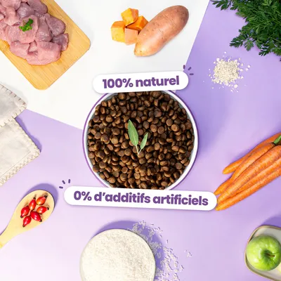 Dog Chef Croquettes Hypoallergéniques à la Dinde Fraîche pour chien