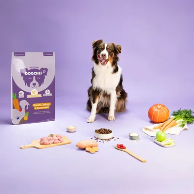 Dog Chef Hypoallergenes Trockenfutter mit frischem Truthahn für Hunde