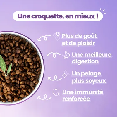 Dog Chef Croquettes Hypoallergéniques à la Dinde Fraîche pour chien