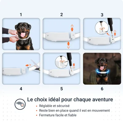 PAJ Collier lumineux pour chien – Light Collar