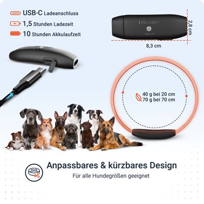 PAJ Leuchthalsband für Hunde – Light Collar