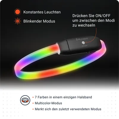 PAJ Leuchthalsband für Hunde – Light Collar