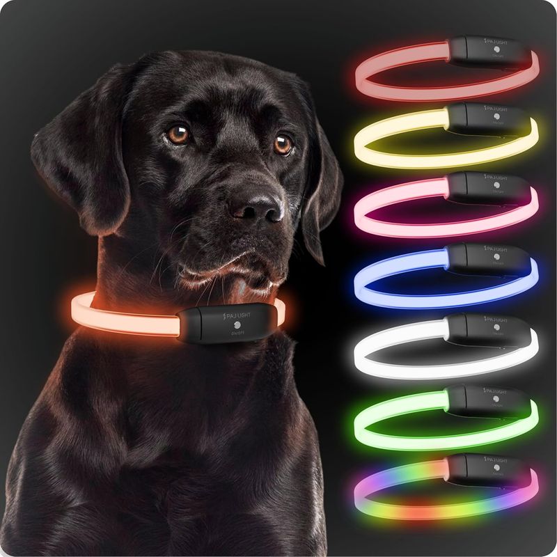 PAJ Collier lumineux pour chien – Light Collar