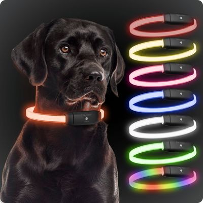 PAJ Leuchthalsband für Hunde – Light Collar