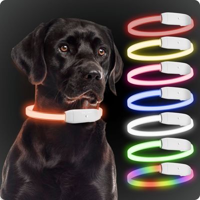 PAJ Collier lumineux pour chien – Light Collar