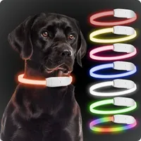PAJ Collier lumineux pour chien – Light Collar