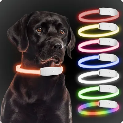 PAJ Collier lumineux pour chien – Light Collar PAJ Collier lumineux pour chien – Light Collar