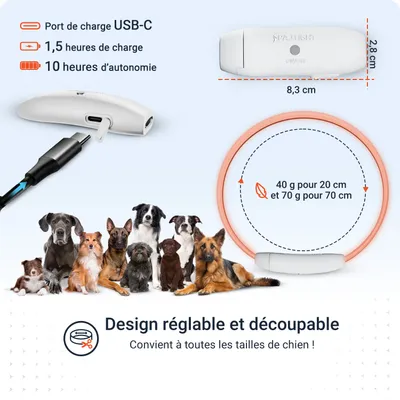 PAJ Collier lumineux pour chien – Light Collar