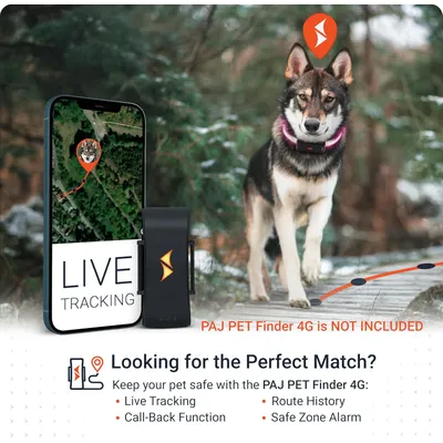 PAJ Collier lumineux pour chien – Light Collar PAJ Collier lumineux pour chien – Light Collar