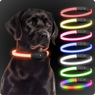 PAJ Collier lumineux pour chien – Light Collar