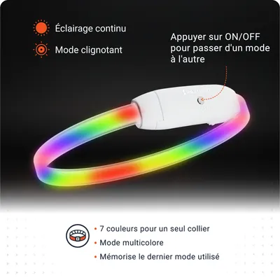 PAJ Collier lumineux pour chien – Light Collar