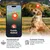 PAJ GPS GPS-Tracker für Hunde – Pet Finder 4G