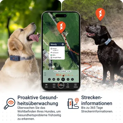 PAJ GPS GPS-Tracker für Hunde – Pet Finder 4G