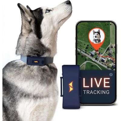 PAJ GPS Traceur GPS pour chiens  – Pet Finder 4G