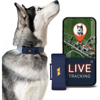 PAJ GPS Traceur GPS pour chiens  – Pet Finder 4G