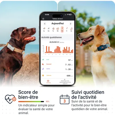 PAJ GPS Traceur GPS pour chiens  – Pet Finder 4G