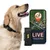 PAJ GPS Traceur GPS pour chiens – Pet Finder 4G PAJ GPS Traceur GPS pour chiens – Pet Finder 4G
